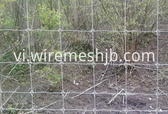 Galvanized Field Wire Fence